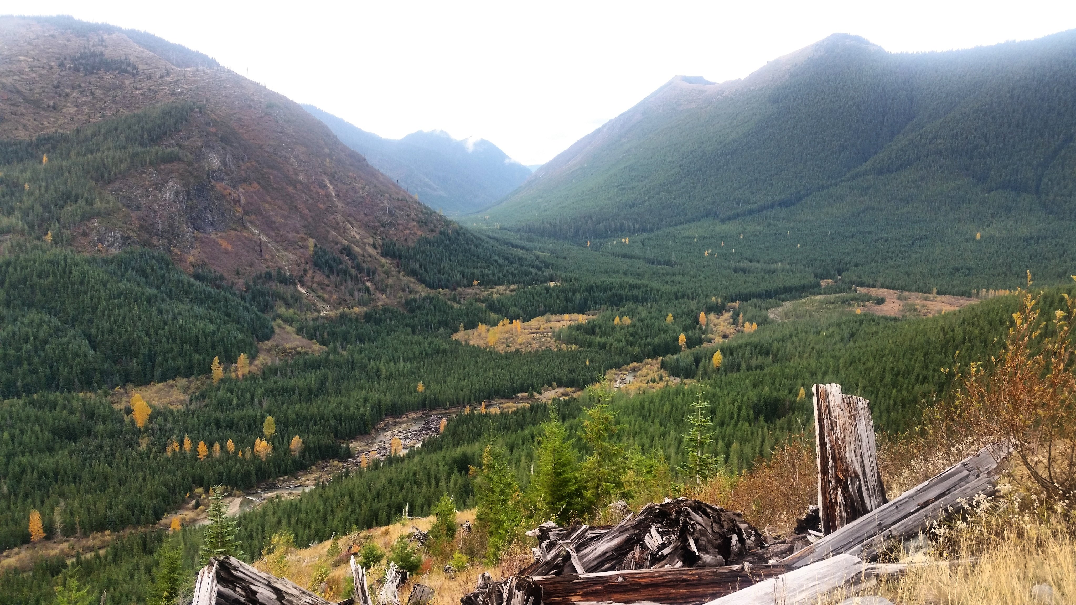 green-river-valley-october-2016-1 | Cascade Forest Conservancy