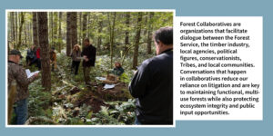 Forest Collaboratives are organizations that facilitate dialogue between the Forest Service, the timber industry, local agencies, political figures, conservationists, Tribes, and local communities. Conversations that happen in collaboratives reduce our reliance on litigation and are key to maintaining functional, multi-use forests while also protecting ecosystem integrity and public input opportunities. 